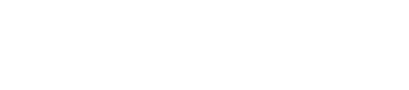 CAPINETS Logo